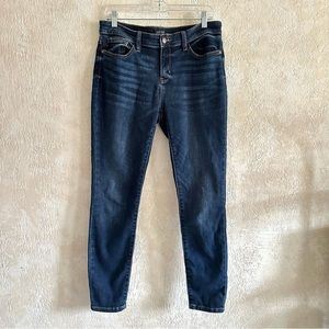 Judy Blue Skinny Jeans